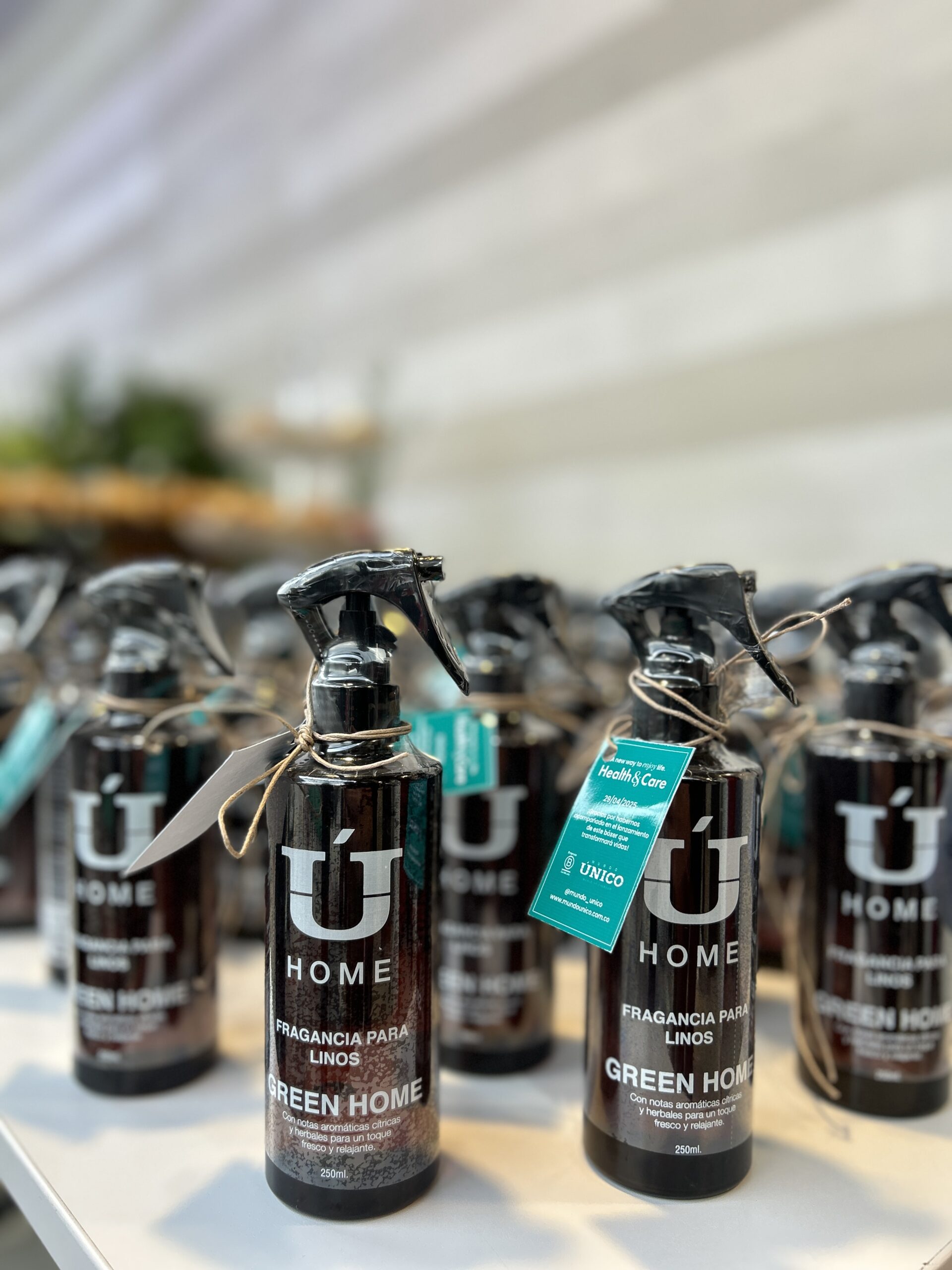 LPL LANZAMIENTO ÚNICO